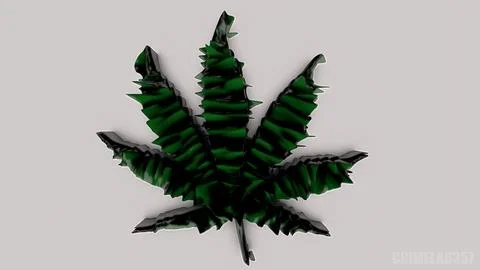 Marijuana Leaf 写真素材