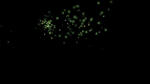 Marijuana leaf - seamless loop, alpha channels included Video stock 93679280