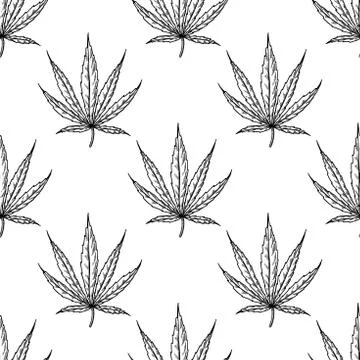 Marijuana leaf vector seamlesss pattern. Cannabis botanical drawing. Hemp plant Stock Illustration
