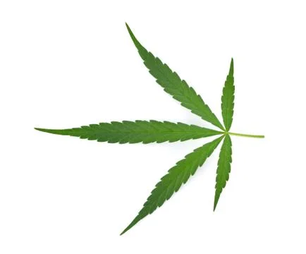 Marijuana leaf on white background Foto stock