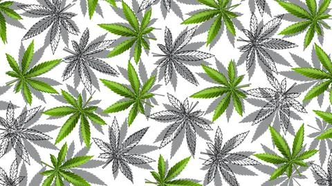 Marijuana leafs or cannabis leafs weed pattern Stock Illustration