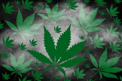 Marijuana leaves on dark background. Stock Illustration