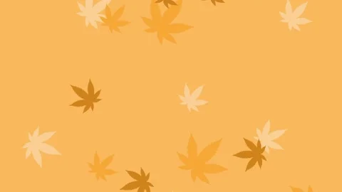 Marijuana leaves falling in orange background Stock Footage 138550380