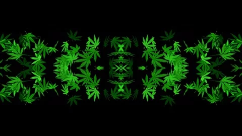 Marijuana leaves fly on a black background with a psychedelic mirror effect. Stock Footage 274580924