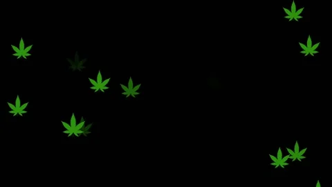 Marijuana leaves flying on black background - Animation Stock Footage 161128718