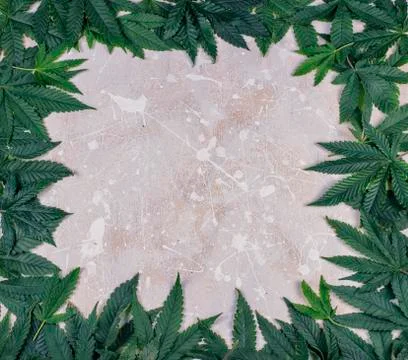 Marijuana leaves frame Foto stock