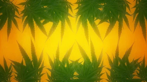Marijuana leaves motion background loop Stock Footage 88986476