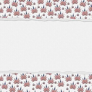 Marijuana leaves torn background Stock Illustration