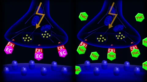 Marijuana mechanism of action 스톡 동영상 63046601