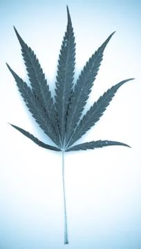 Marijuana Foto stock