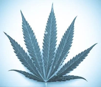 Marijuana Stock Photos
