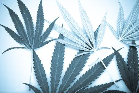 Marijuana Stock Photos