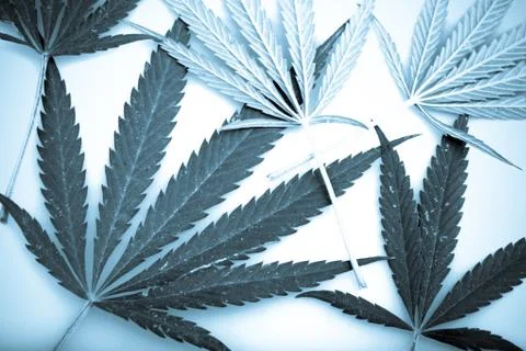 Marijuana Stock-Fotos