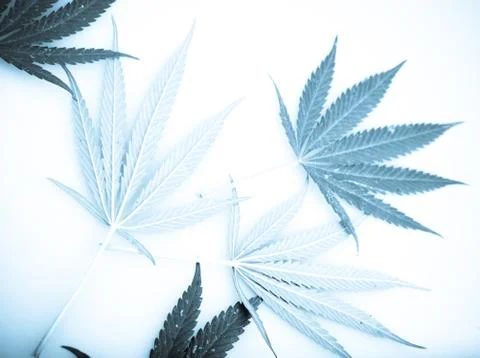 Marijuana Foto stock