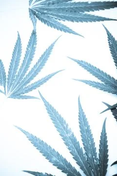 Marijuana Foto stock