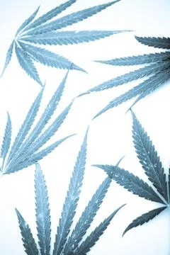 Marijuana Foto stock