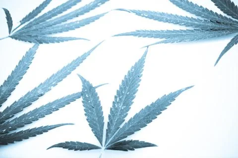 Marijuana Stock Photos