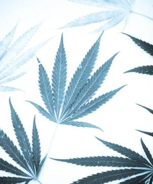 Marijuana Stock Photos