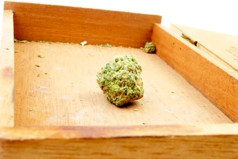 Marijuana Stock Photos