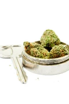 Marijuana Stock-Fotos
