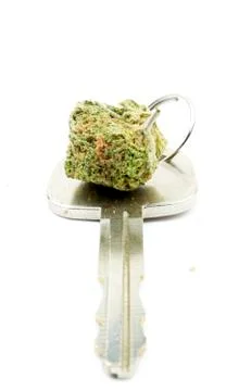 Marijuana Foto stock