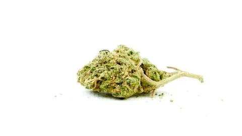 Marijuana Stock Photos