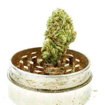Marijuana Stock Photos