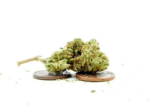 Marijuana Stock Photos