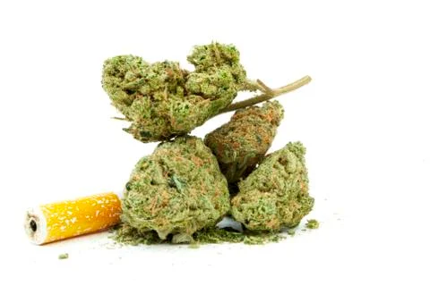 Marijuana Stock Photos