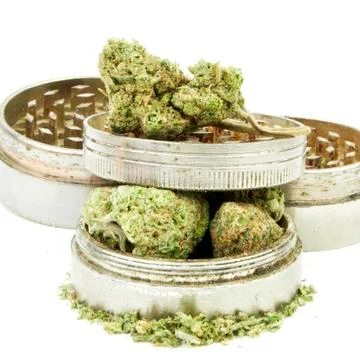 Marijuana Stock Photos