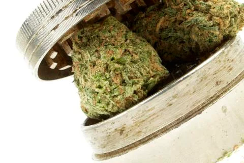 Marijuana Stock Photos
