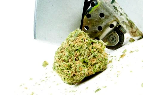 Marijuana Stock Photos