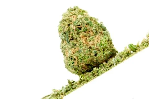Marijuana Stock Photos