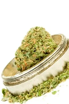 Marijuana Stock Photos