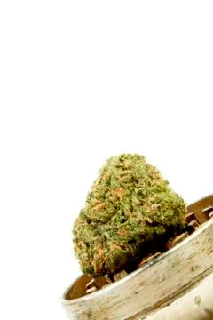Marijuana Stock Photos