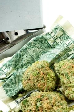 Marijuana Stock Photos