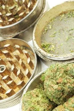 Marijuana Stock Photos