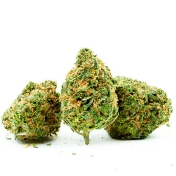 Marijuana Stock Photos