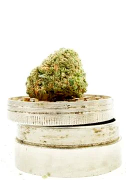 Marijuana Stock Photos