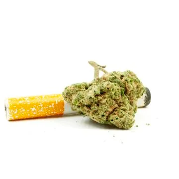 Marijuana Stock Photos