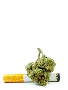 Marijuana Stock Photos
