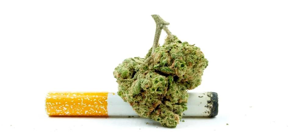 Marijuana Stock Photos