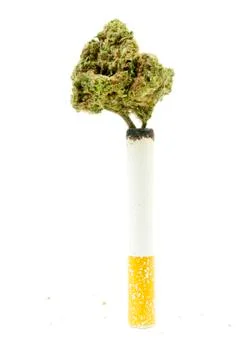 Marijuana Foto stock