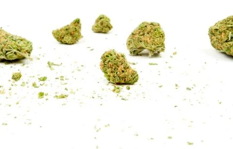 Marijuana Stock Photos