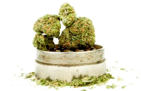 Marijuana Stock Photos