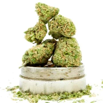Marijuana Stock-Fotos