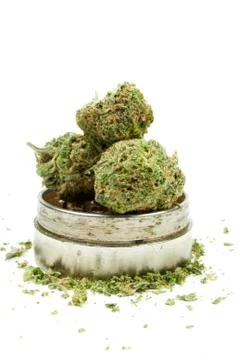 Marijuana Stock Photos