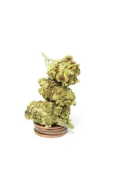 Marijuana Stock Photos