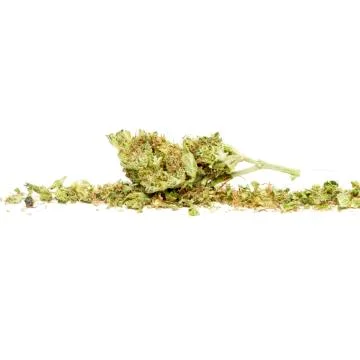 Marijuana Stock Photos