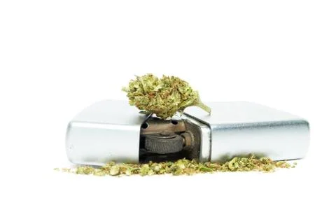 Marijuana Stock Photos